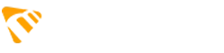 Max Player